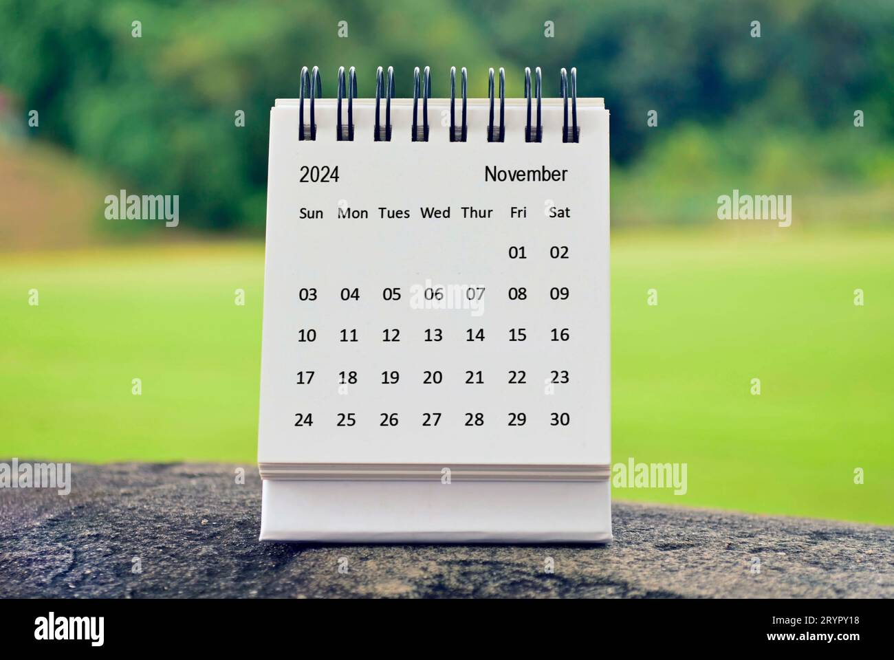 Is 2024 The Next Leap Year Printable Calendar 2024