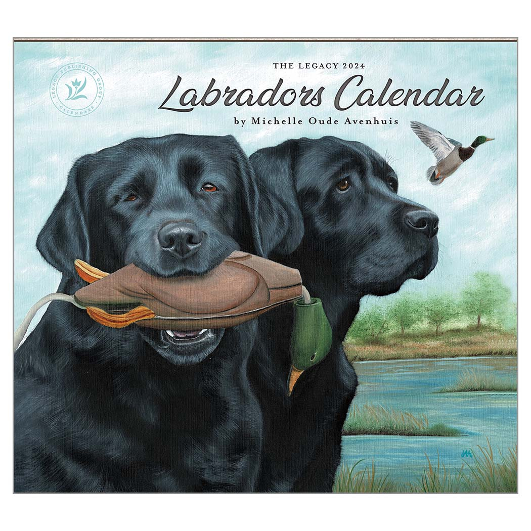 Legacy 2024 Calendar Labradors Calender Fits Wall Frame | 2024 Year Calendar Labs