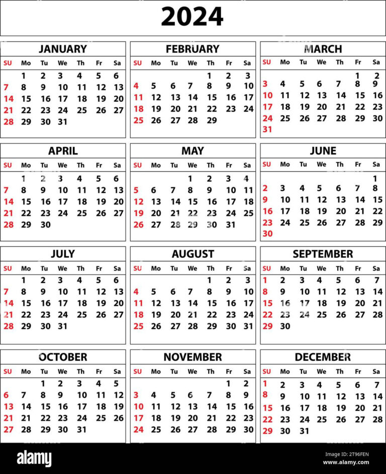 2024 Calendar Set. Color Vector Pocket Calendar Design. The Week | Calendar June July August September 2024