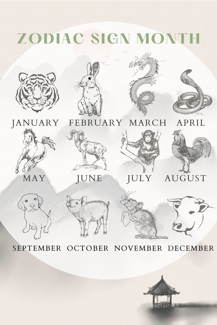 Chinese Zodiac Signs, Zodiac Animal, Zodiac Compatibility, Chinese | What Animal Is June In The Chinese Calendar