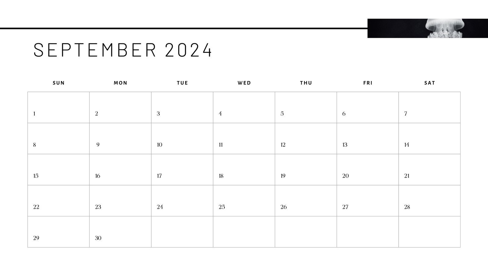 Free Printable September 2024 Calendar Templates | Canva | Calendar June to September 2024