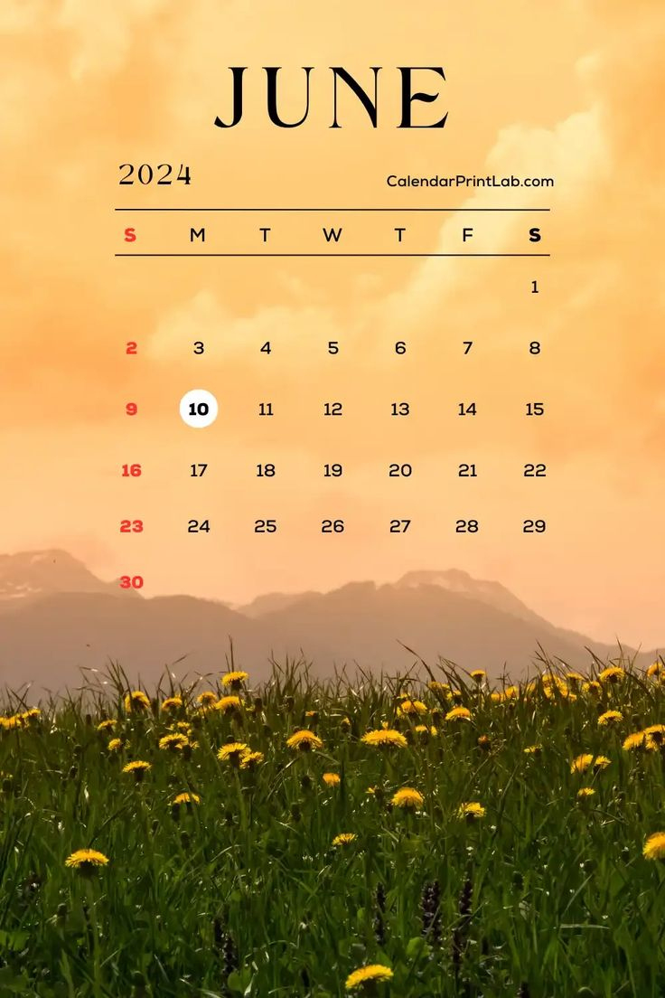 Iphone June 2024 Calendar Wallpapers Free Download In 2024 | June 2024 Calendar Phone Wallpaper