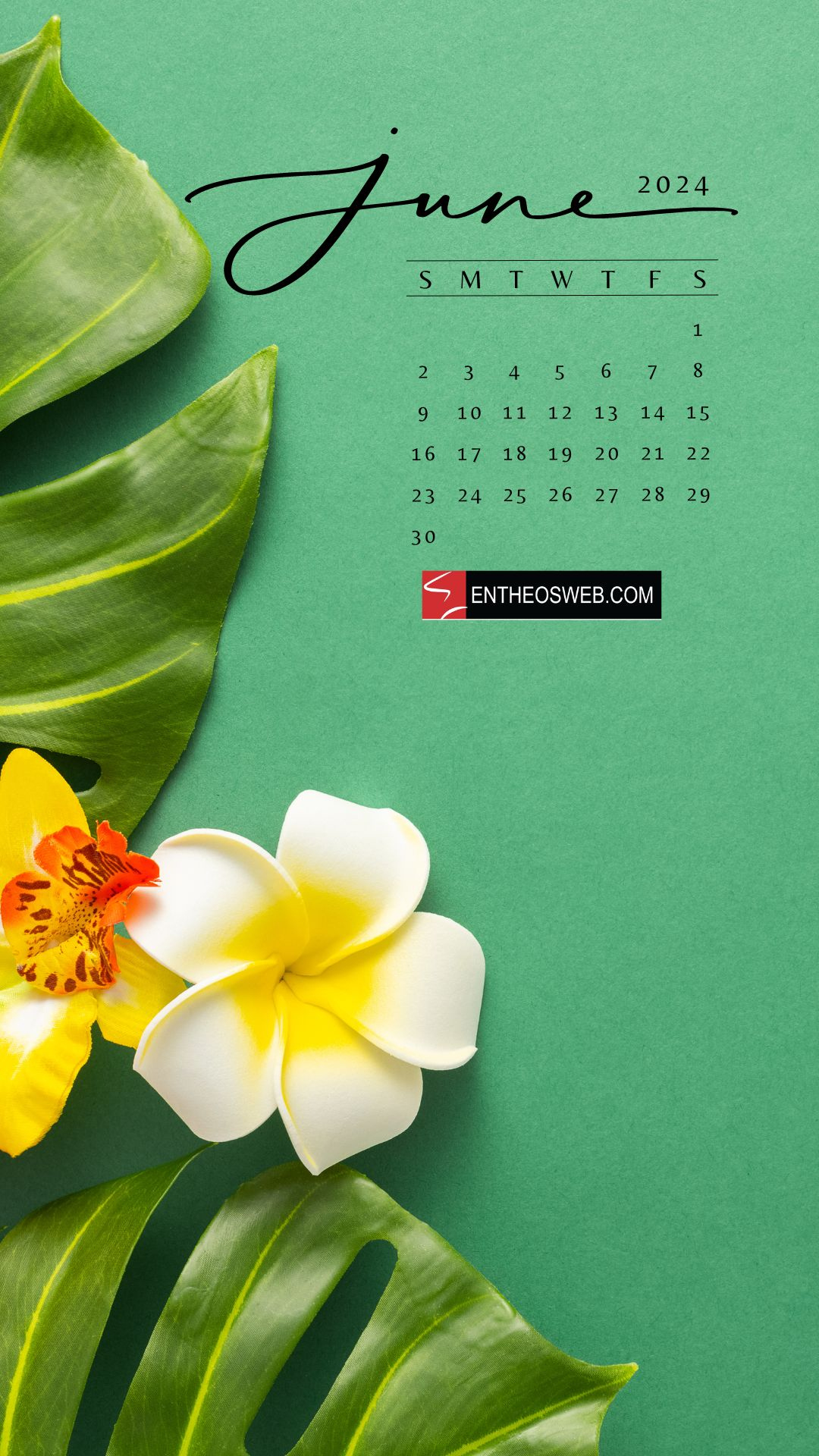 June 2024 Phone Wallpapers | Entheosweb | June 2024 Calendar Phone Wallpaper