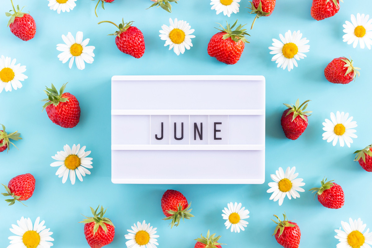 June Holidays 2024: Daily, Weekly, Monthly Observances - Parade | National Calendar Day June 2024