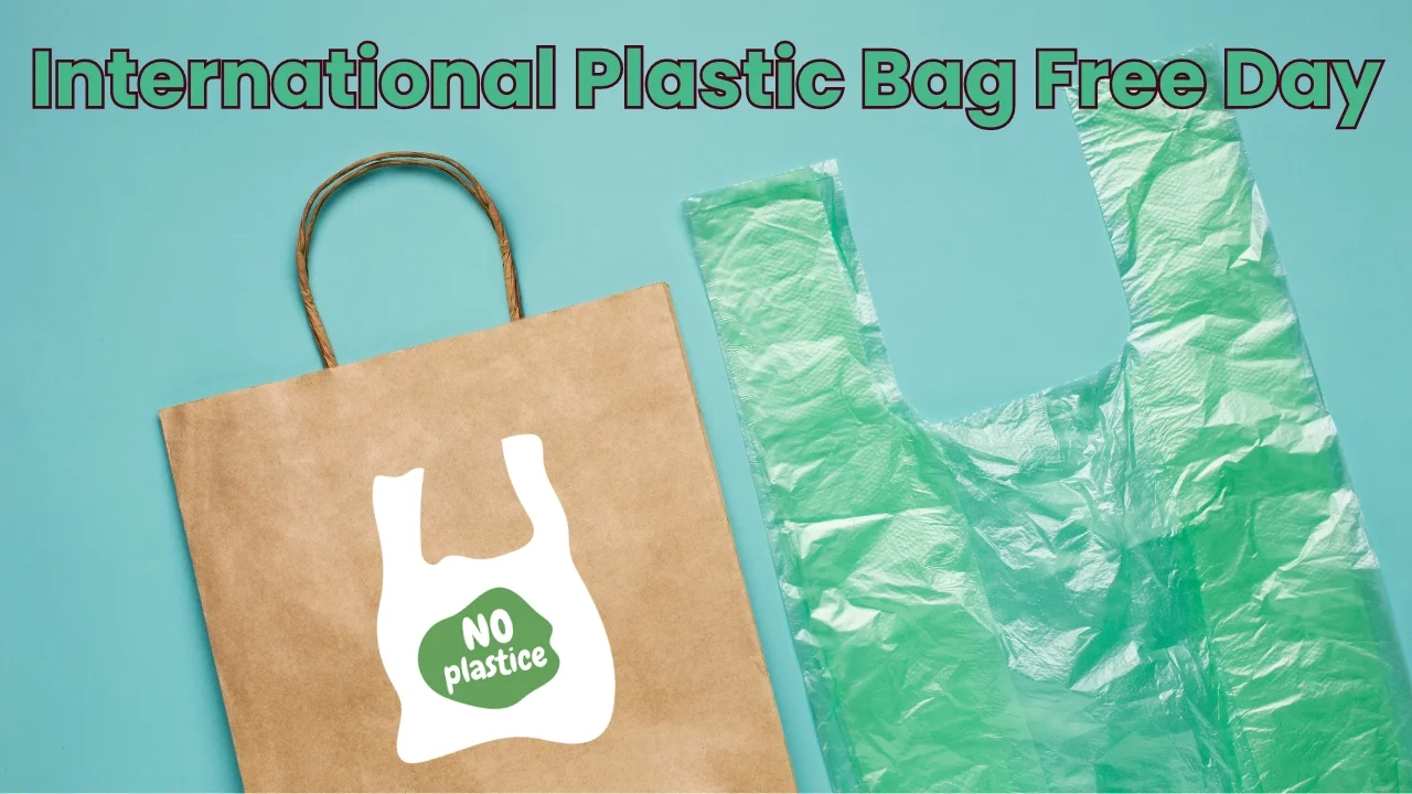 International Plastic Bag Free Day 2024 (3Rd July), Theme, History | Plastic Free July Calendar 2024