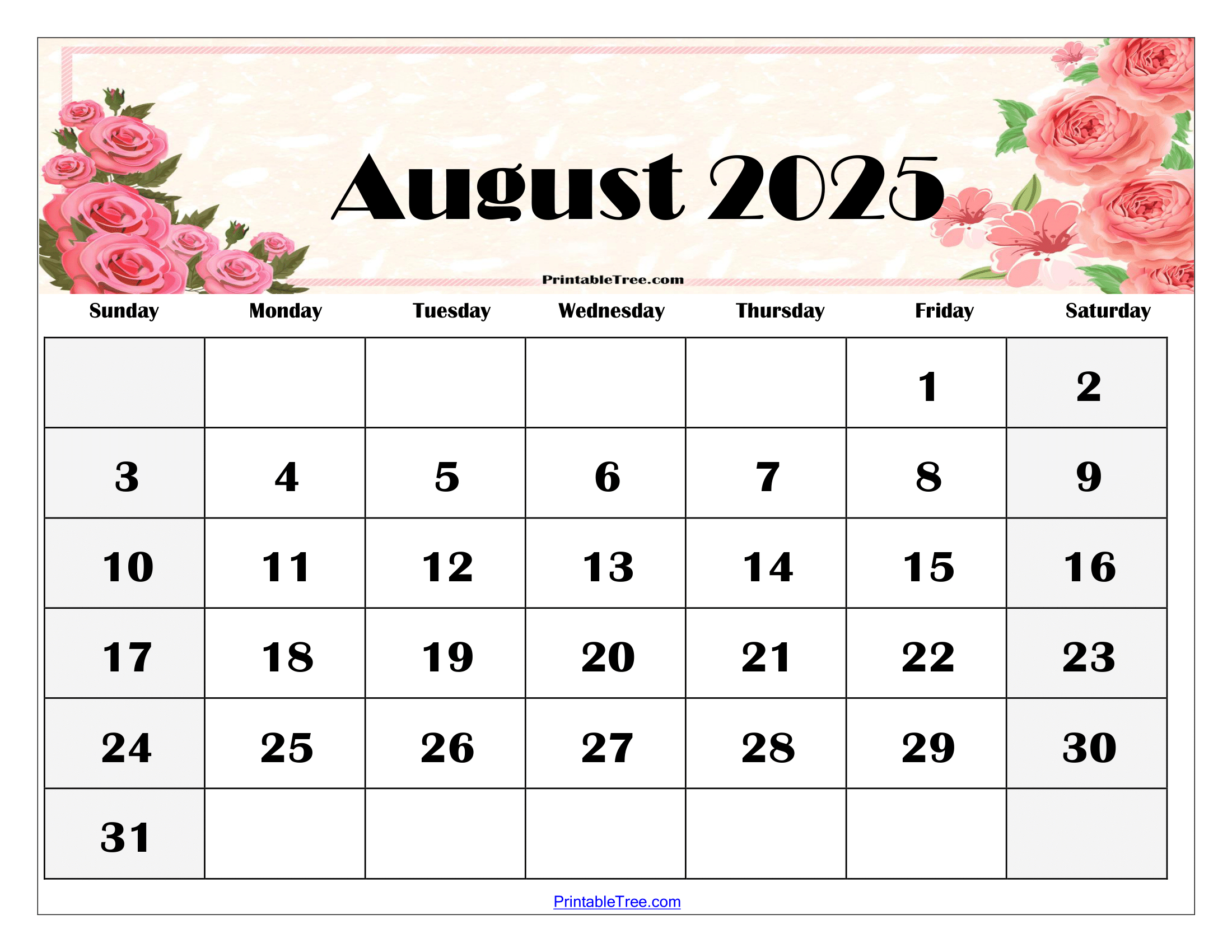 August 2025 Calendar Printable Pdf Template With Holidays | August 2025 Calendar Printable