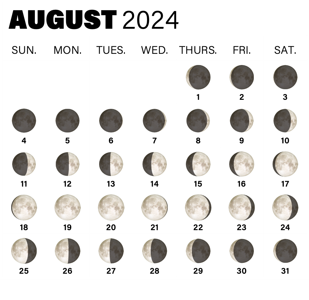 2024 Full Moon Calendar: When To See The Full Moon And Phases | Full Moon Calendar for September 2024