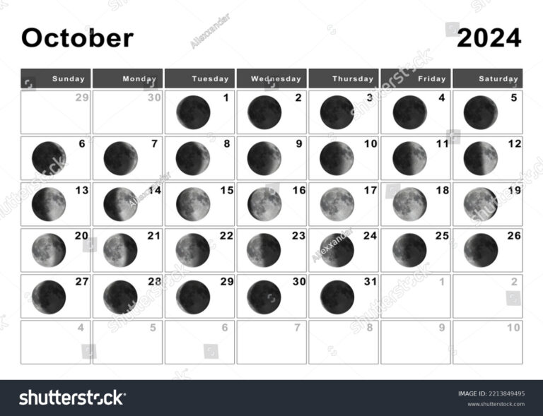 October 2024 Lunar Calendar Moon Cycles Stock Illustration | Full Moon Calendar 2024 October