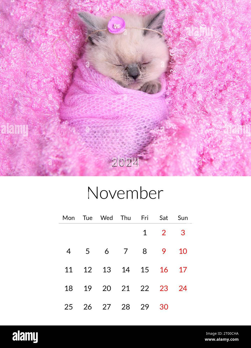 November 2024 Photo Calendar With Cute Cats. Annual Daily Planner | Printable November 2024 Calendar With Cats