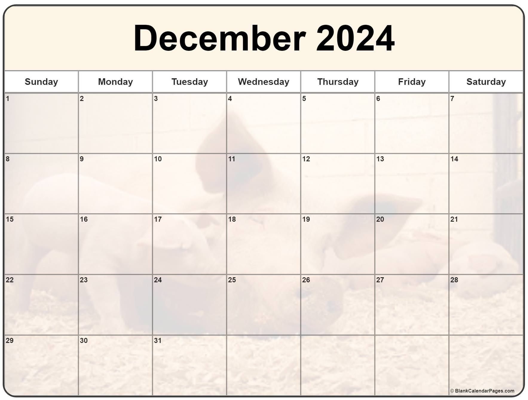 Collection Of December 2024 Photo Calendars With Image Filters. | 2024 December Calendar Printable Piglet